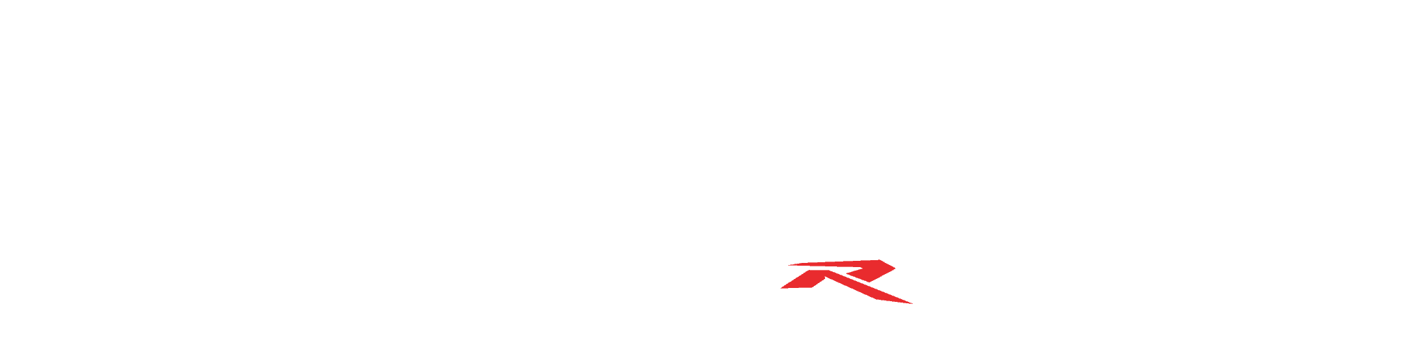 new demon gr200r dacorsa2 logo